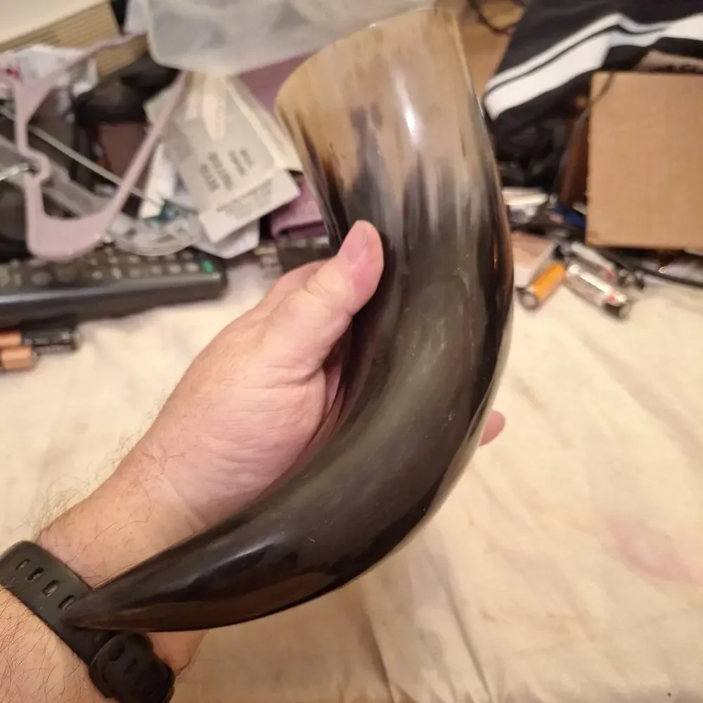 10” Viking Drinking Horn W Natural Curve & Blend Of Colors With Etched Design